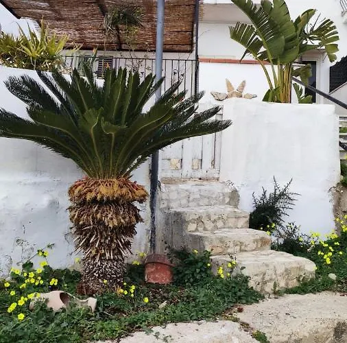 Bluoltremare Feriehus