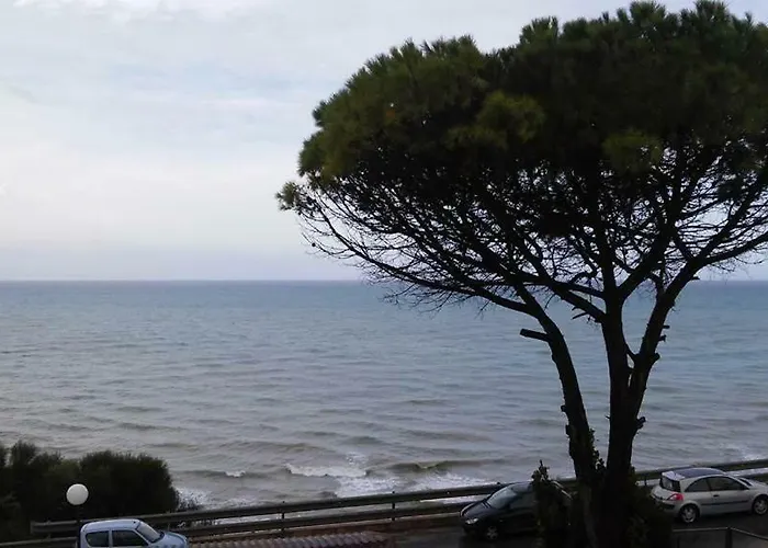 Bluoltremare